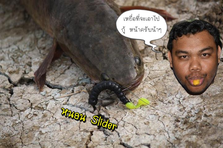  :laughing: :laughing: :laughing: