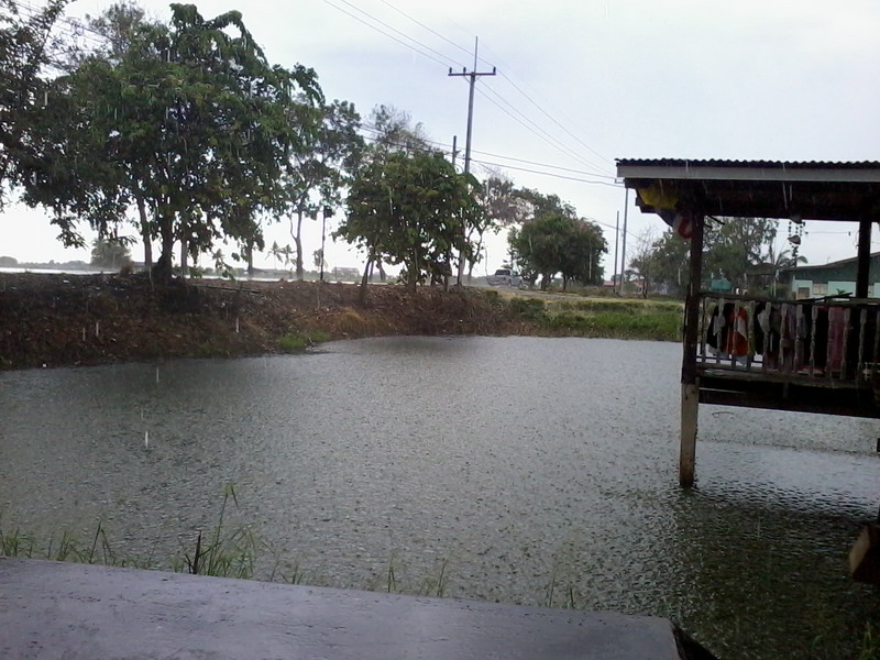มีธรรมชาติ  ที่ไม่อ่านหนังสือมา กวนด้วย  





ฝนเลยตก
 :laughing: :laughing: :laughing: :lau
