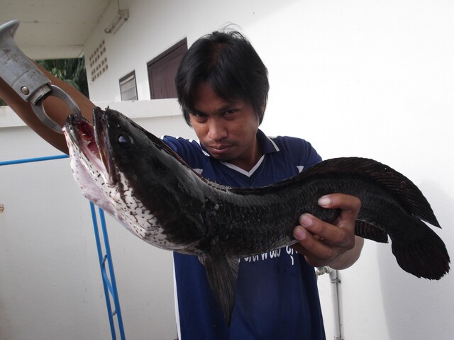                   ภาพจะหมดแล้วนะคร๊าบบบบบ...รูปนี้แถมให้..ใครช่วยตั้งชื่อให้ที...ว่ารูปนี้ควรจะชื่อว