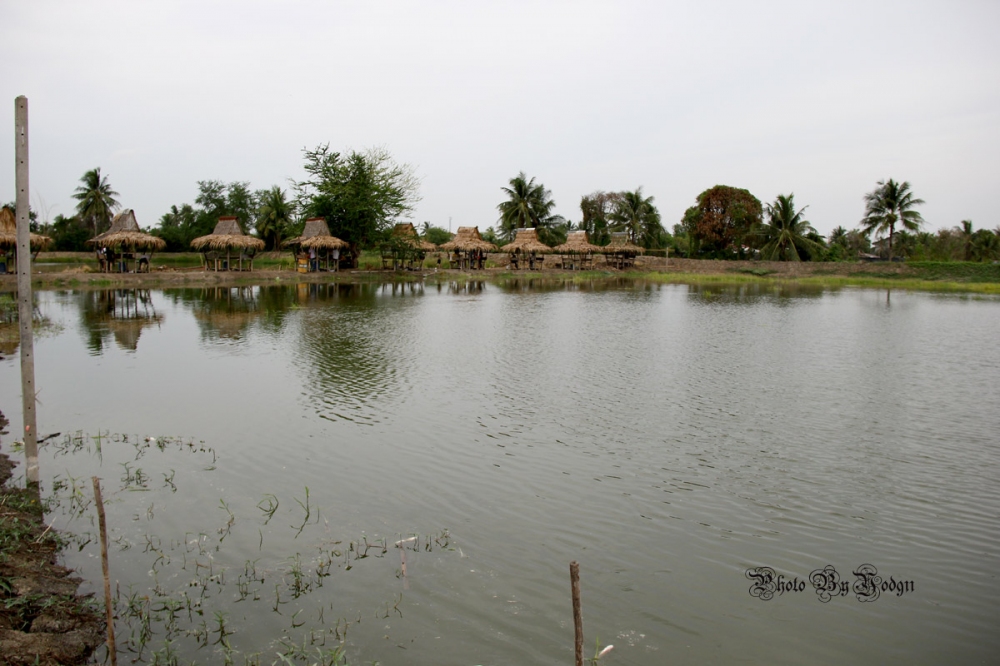 บรรยากาศบ่อใหม่ของบ่อโบตั๋น
