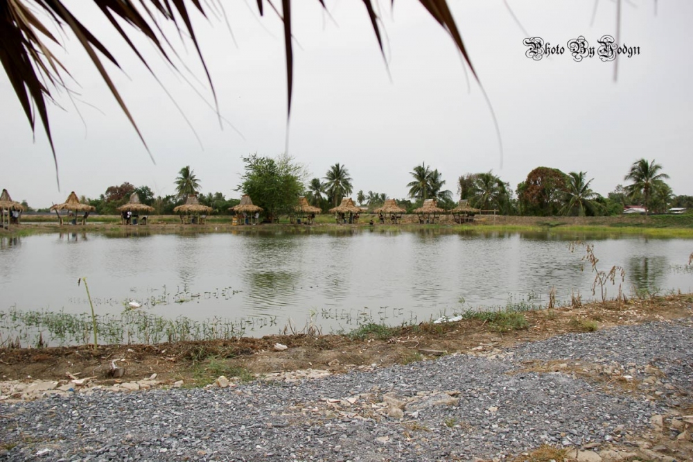 บรรยากาศโดยไม่รอบ เพราะมีห้าบ่อ :laughing: :laughing: