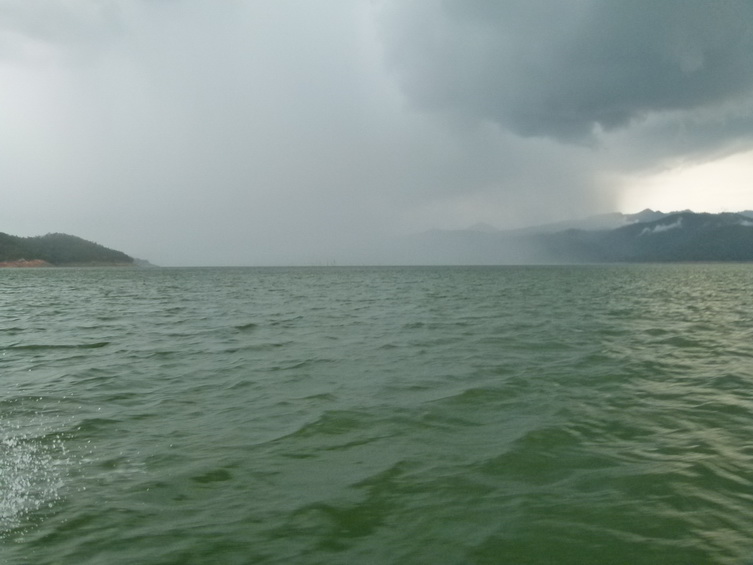 ฝนมาแล้วเผ่น :grin: