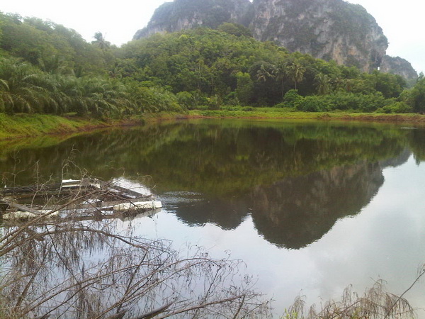 สภาพหมายเป็นบ่อเลี้ยงกุ้งร้างครับ
