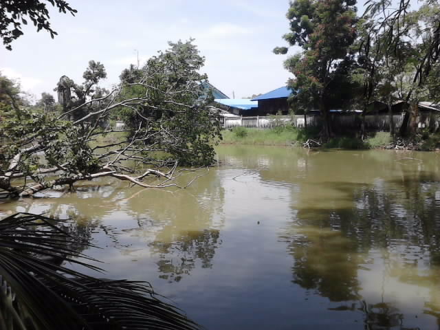 สำหรับคนชอบปลาอย่างพวกเรา ต้องที่นี่ครับ ปลาดุกไซส์ยักษ์ ปลานิลรุ่นฝาชี และอีกสารพัดปลายักษ์
เฮ้ยป๋