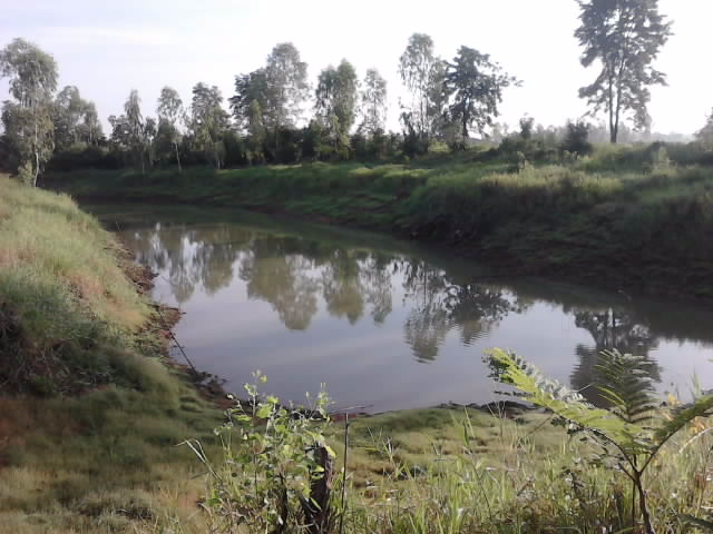 นี่ ด้านซ้าย
ทางนี้น้ำน้อยกว่าทางด้านขวา
สงสัยเจอแหไปหมดแระ
 :grin: :grin: :grin: :grin: :grin:
