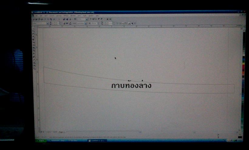 กาบท้องล่าง