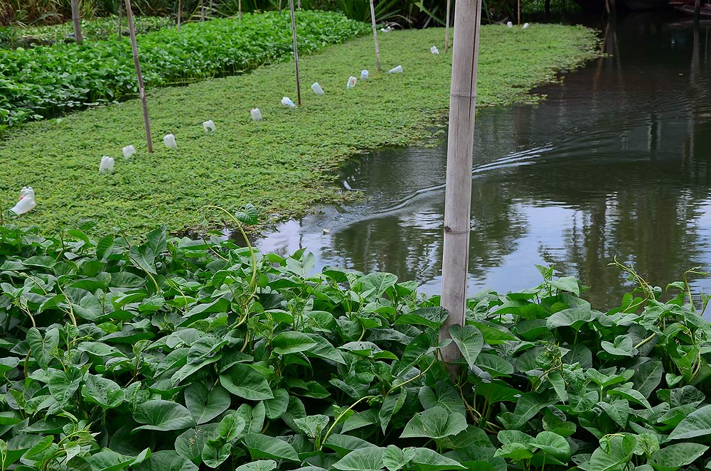 ยังไม่มีปลากัดสักตัว :laughing: :laughing: :laughing: :laughing: :laughing: :laughing: