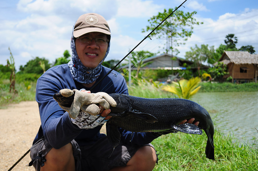 ภาพปลา มั่งดีกว่า เดี๋ยวจะเบื่อกัน   :grin: :grin:

 NIKON  D 5000  18- 55mm.   :smile: :smile: