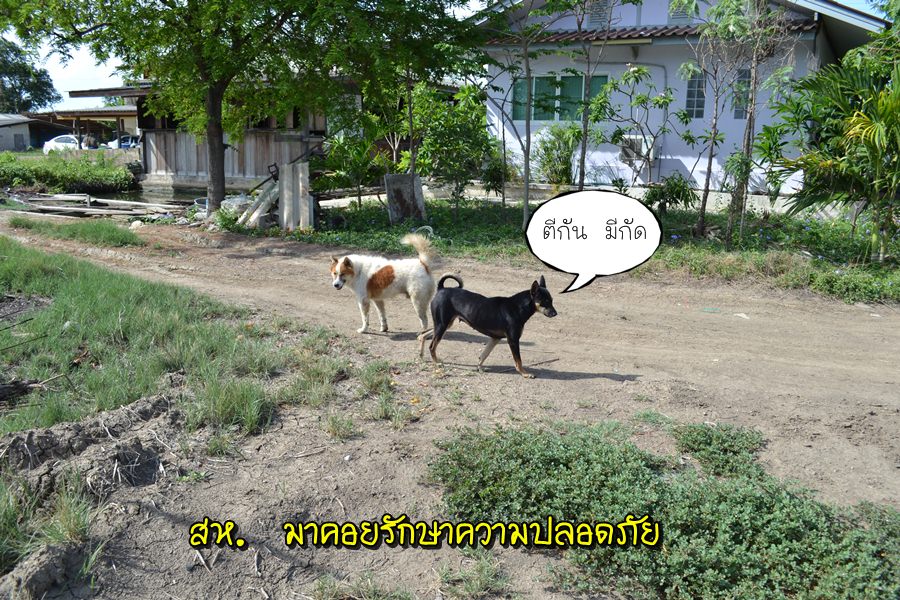 สห. พร้อมครับ  รับรองไม่มียกพวก  ตื๊บ กรรมการอย่างแน่นอน :laughing: