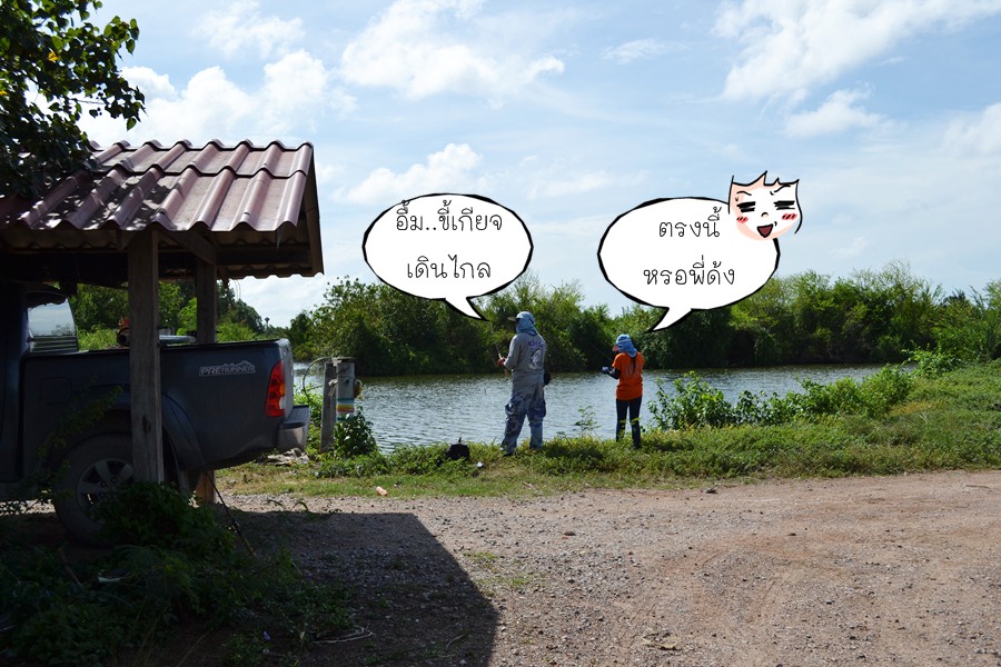 เริ่ม แล้วครับน้าๆ รักใครเชียร์ใคร  หรือจะแช่งใคร ก็ตามอัทยาศัย นะครับ  :laughing: :laughing: :laugh