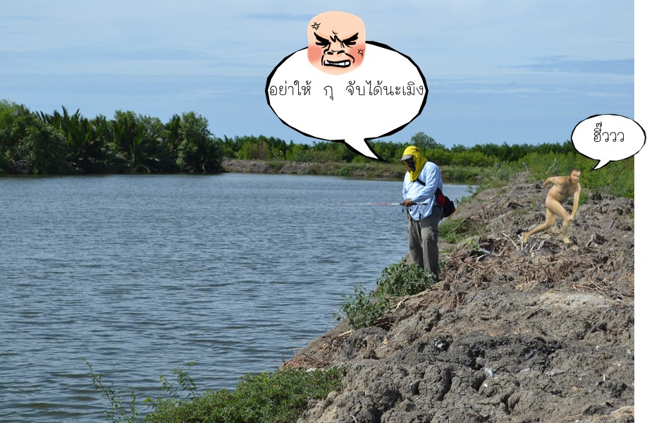 มีตัวป่วนสนาม  ไม่ทราบว่า สห. หายไปไหนนะครับ  :laughing: :laughing:
