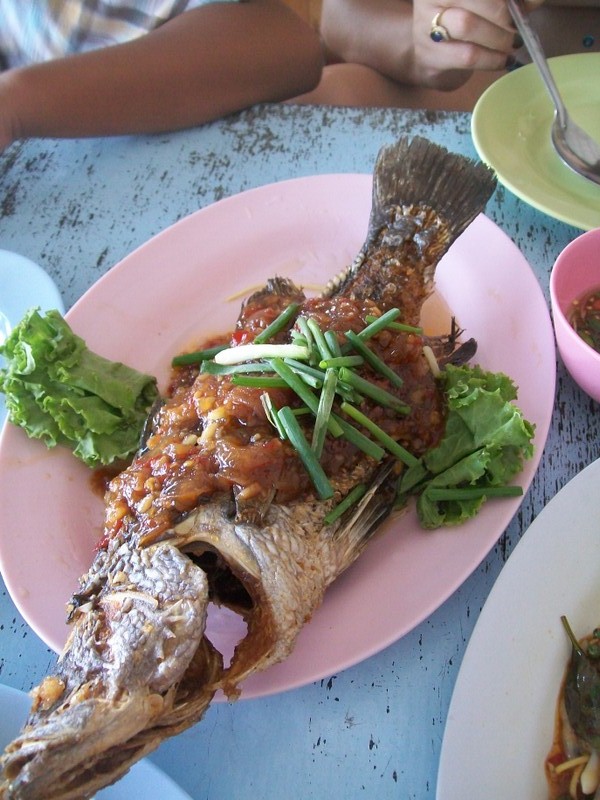 ปลากระพงครับ  :umh: :umh: :grin: