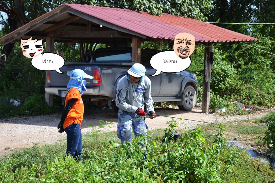 เทคนิคแพรวพราย  ถูกถ่ายทอดออกมา




 [q]สอนซ่ะทุกกระบวนท่า[/q]
อย่าร้อง  :laughing: :laughing: