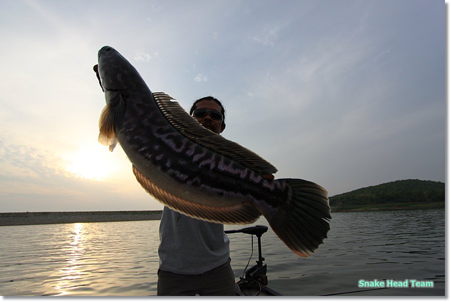 [q][i]อ้างถึง: kongfishing posted: 27-05-2555, 23:51:40[/i]

+1ตามชมคับ :cheer:[/q]

สวัสดีครับน