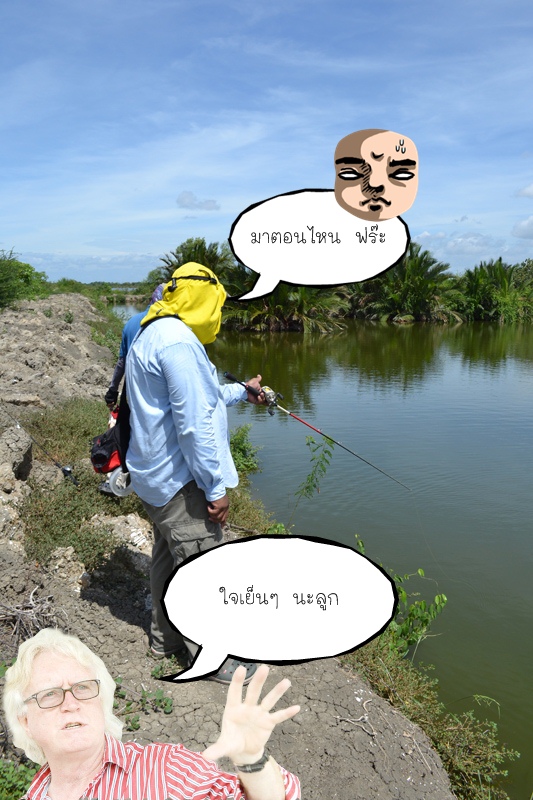 เอาละครับ  พี่ไก่ได้ลุ้นละงานนนี้  :laughing: :laughing: :laughing: