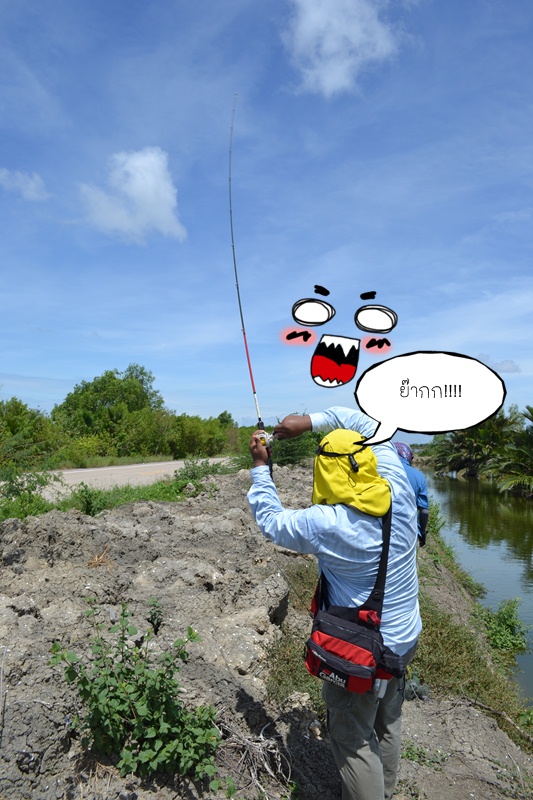 ปลายังอยู่ครับ น้าๆ วัดซะขนาดนั้น  :laughing: :laughing: :laughing: