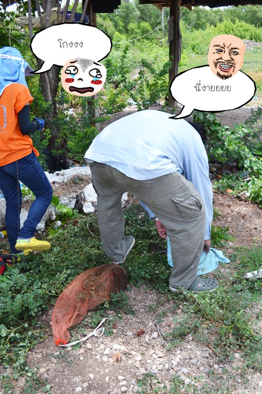 เอาละครับ  ผลจะเป็นยังไง  ยังดูไม่ออก  :laughing: