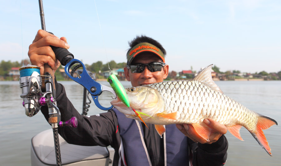 ทริปนี้เราไปทดสอบ popper deps ครับ 