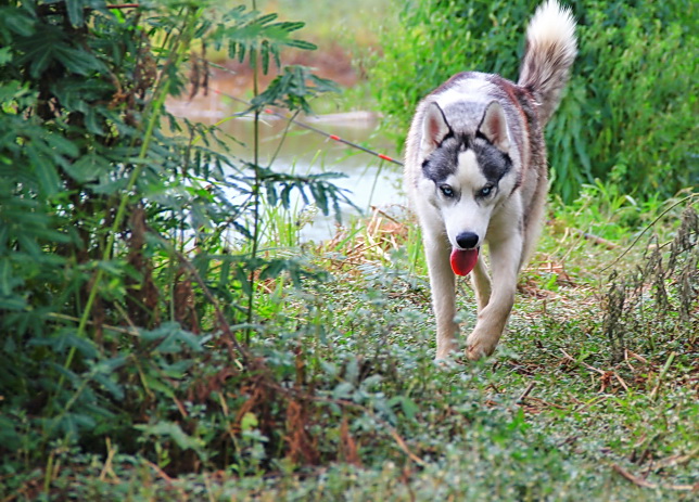 จอมป่วนย่องมาแล้วครับ :grin: :grin: :grin: