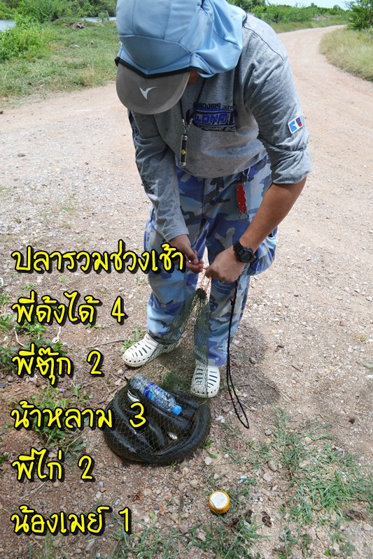 สรุปปลารวมรอบเช้านะครับ
