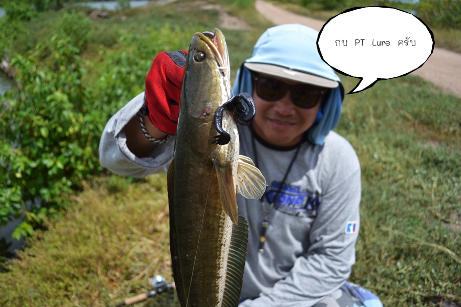 อ่าวพี่ด้งก็อีกคน ไม่พัก ไม่ร้อนกันรึไง นะ  :laughing: :laughing: :laughing: