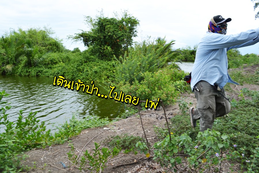 งั้นเอาแบบนี้  มีเกมส์ให้เล่นครับ  :grin: :grin: :grin: