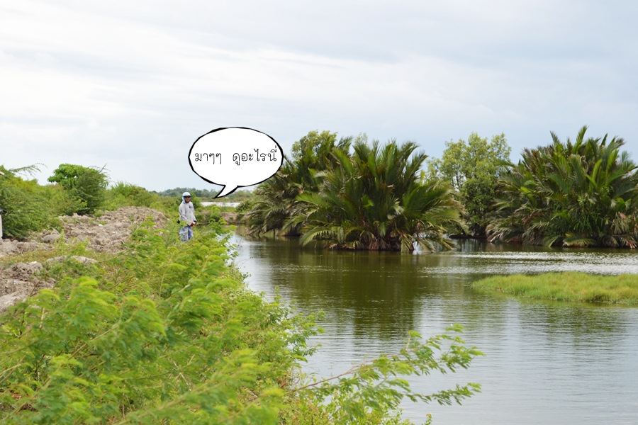 เดินมาเจอพี่ด้งพอดี  :love: :love: :love: