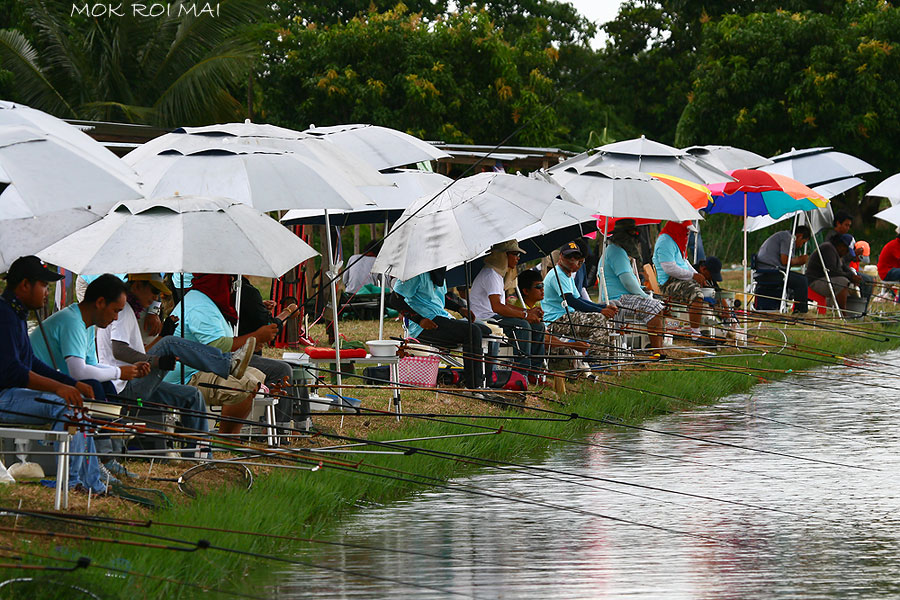 ทุกคนรอลุ้นปลากันเพราะใกล้เวลามาทุกทีแล้ว