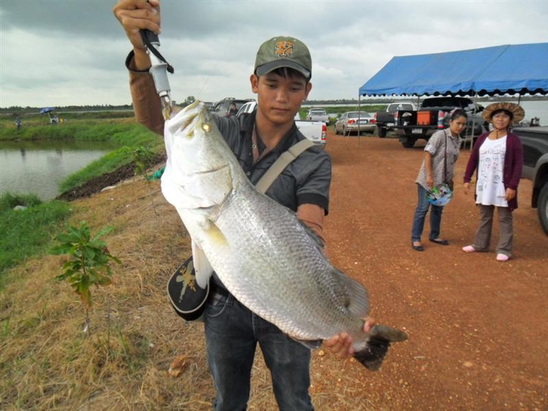 ตัวนี้อัดนานมากครับเสียไม่ได้ถ่ายภาพตอนอัด ไซส์ใหญ่ครับตัวนี้ :grin: