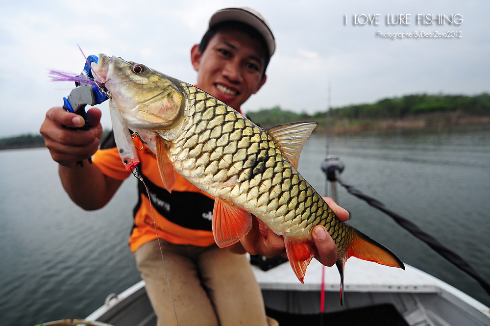 ขอหล่ออีกสักใบ  ขอบคุณช่างภาพด้วยนะ  555





[q][i]อ้างถึง: A21 posted: 29-05-2555, 11:06:53[