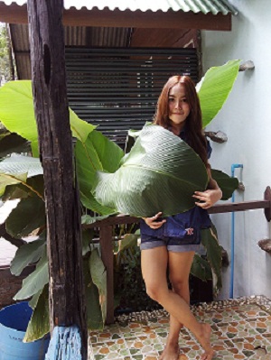 ไปเล่นดนตรีหรือไปตกปลาแน่ภาค2(อ.ขลุง จันทบุรี)