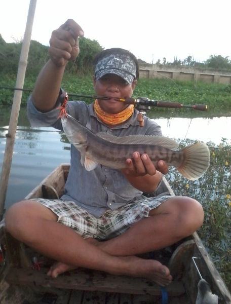 น้าเก่งบอก เปลี่ยนเหยื่อเจ้าตาเพชรส้มทองดำปุ๊ป โดนทันที :grin: :grin: :grin: