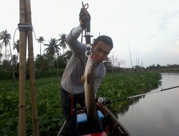 กัดซะกบจมหายไปในปาก เหลือโผ่ลมานิดเดียว :grin: