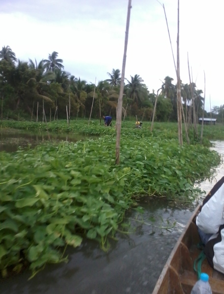 ที่เรือป๋า อยู่ไกลๆ เห็นป๋าวิ่งไปวิ่งมาอยู่บนเรือ :laughing: :laughing: :laughing: