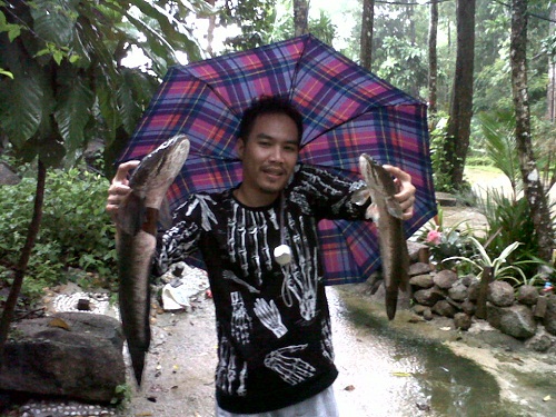 พอกินแล้วคับวันนี้ :umh:
