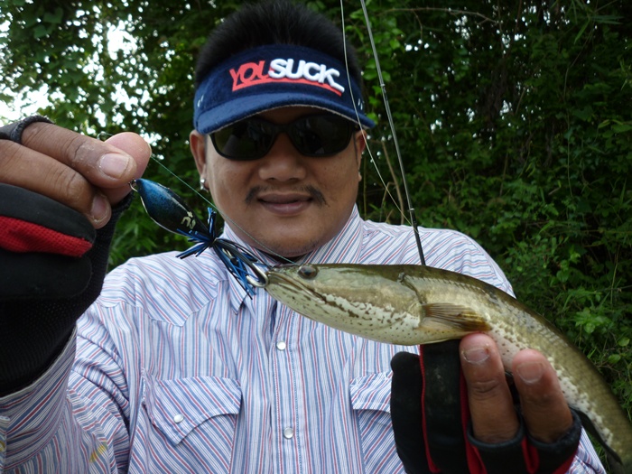 [q][i]อ้างถึง: fishingjoke posted: 30-05-2555, 19:36:36[/i]

+++++ครับ ตามชม :smile: :smile: :smil