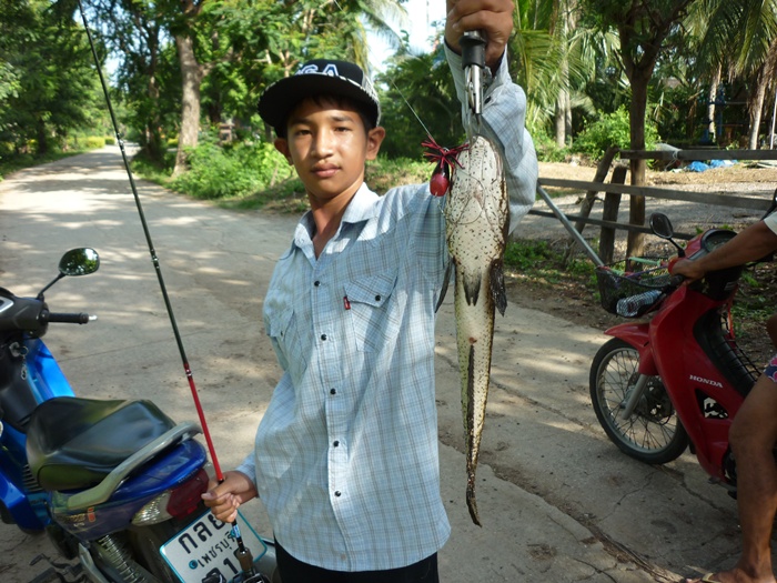 ไอ้แจ๊ค  หันท้องขาวซะ :grin: