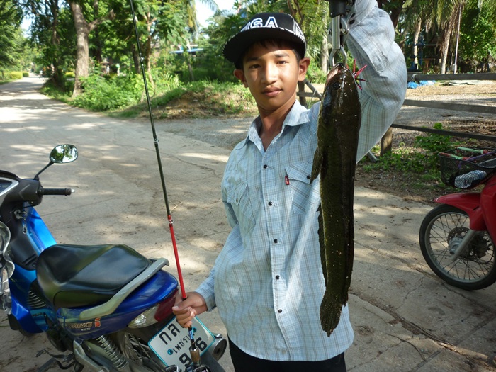 แบบนี้ซิวะ ถึงจะสวย  :grin: