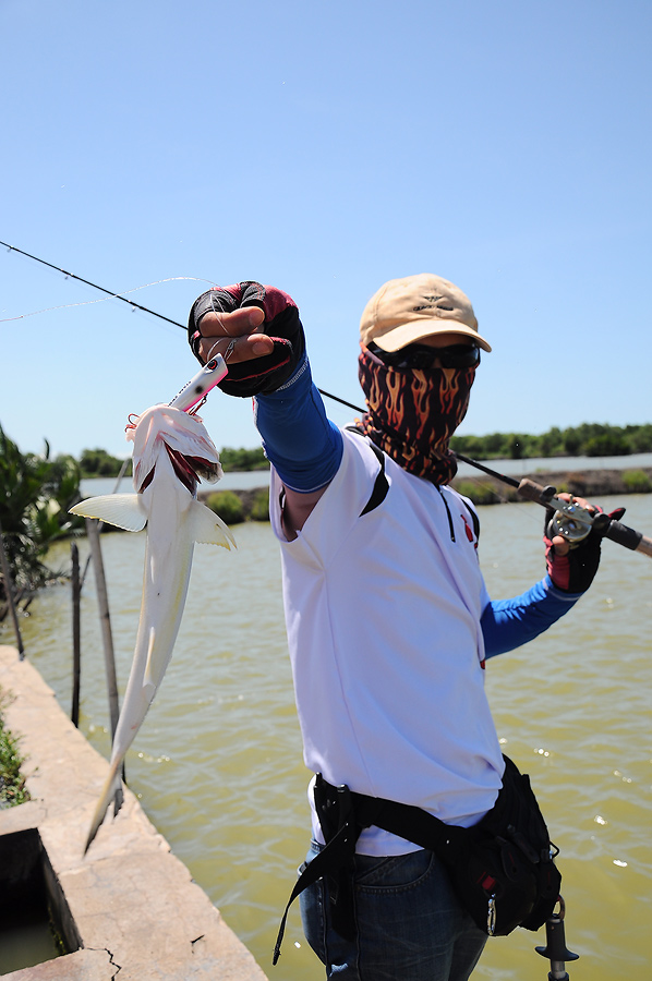 กุเลาตัวแรกของทีม ActionLure ตกขึ้นมาได้ด้วยฝีมือของน้องเต๋า นี่ขนาดหยุดตกปลาไปนานแล้วน่ะเนี่ยยยยยย 