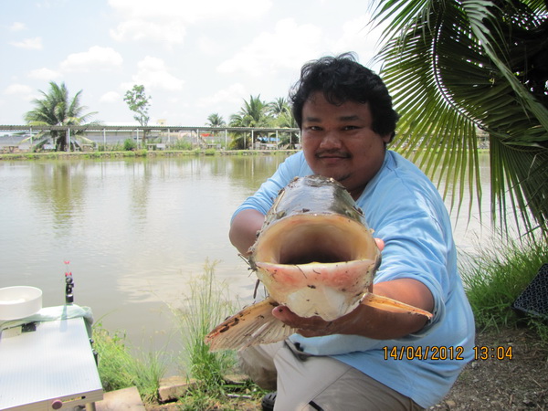 ช่วงรอ บ่อหลิว

 :smile: :smile: :smile: