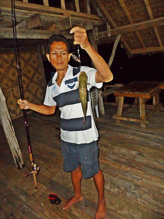 พ่อ..ก็ตกหน้าดินที่หน้าแพ ได้ปลาหลายตัวเหมือนกัน  :cheer: :cheer: :cheer: :cheer: :cheer: