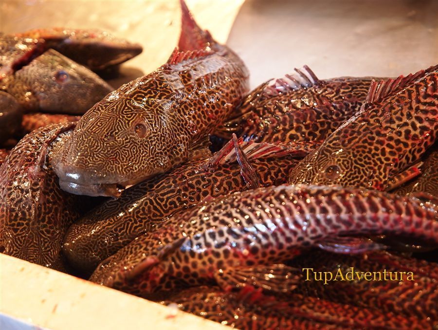 เริ่มต้นด้วยสิ่งเคยๆๆ ปลาเทศบาล ในตลาดปลา ปลาสดขึ้นชื่อในอเมซอน :umh: