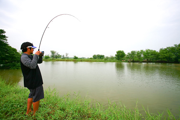 มาแล้ว wow big fish