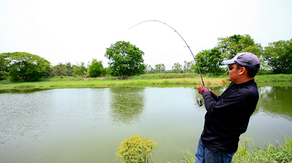 มาอีกแล้ว Elite Angler