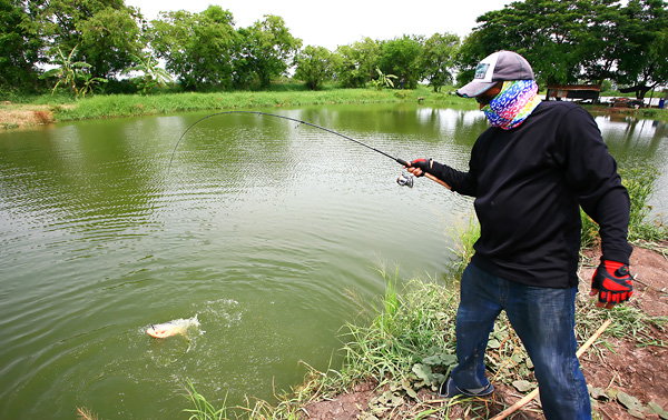 จูงมาอีกตัวครับ Elite Angler ครับ