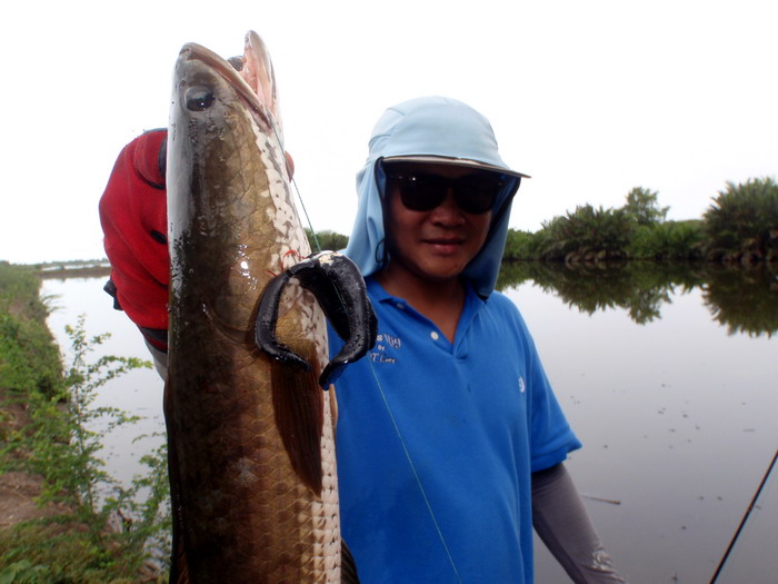 [q][i]อ้างถึง: pi621 posted: 02-06-2555, 21:57:22[/i]

 :cheer: :cheer: :cheer:[/q]



ขอบคุณค