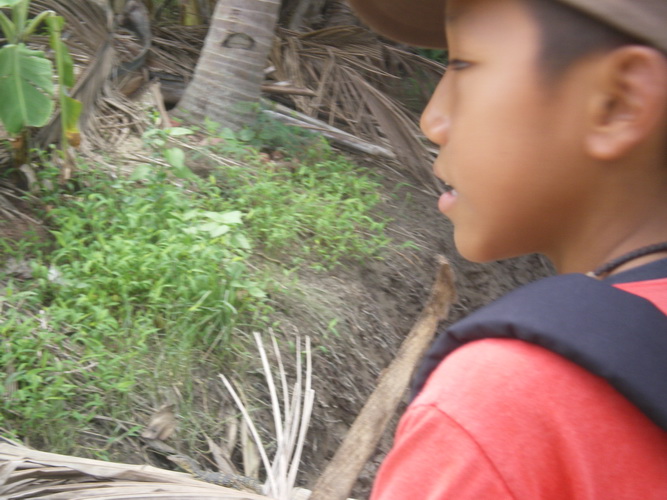จ้องงงงงงงงง..... - -