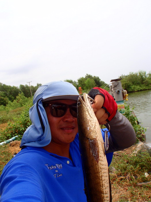 [q][i]อ้างถึง: สิรวุฒิ posted: 02-06-2555, 22:09:58[/i]

.+..........................คิดถึงมากกคับ