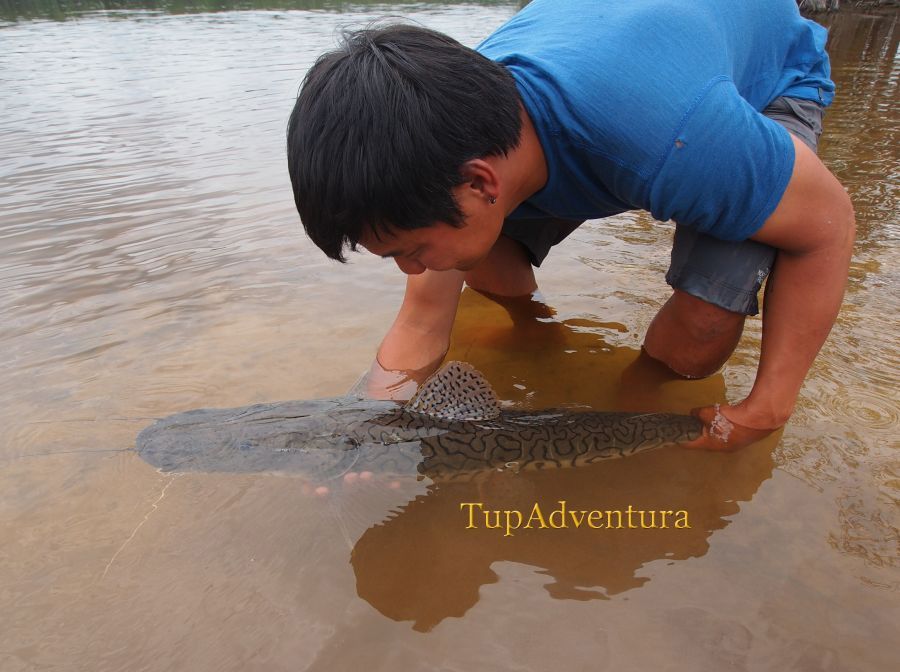 กลับสู่ธรรมชาติ หลัง จากมาเป็นส่วนนึงในประสบการ์ณ แห่งชีวิตของผม