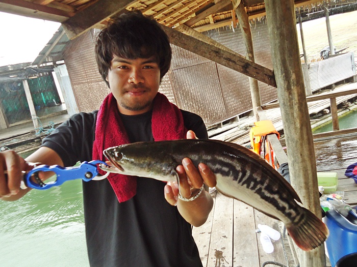มาเข้าเรื่อง..กันต่อเลย ครับผม !!!  :laughing: :laughing: :laughing:

หนึ่งกะทุ่มแบน ใช้เรือของที่
